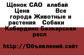 Щенок САО (алабай) › Цена ­ 10 000 - Все города Животные и растения » Собаки   . Кабардино-Балкарская респ.